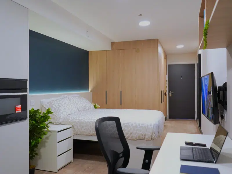 Luxury Plus Studio photo 1