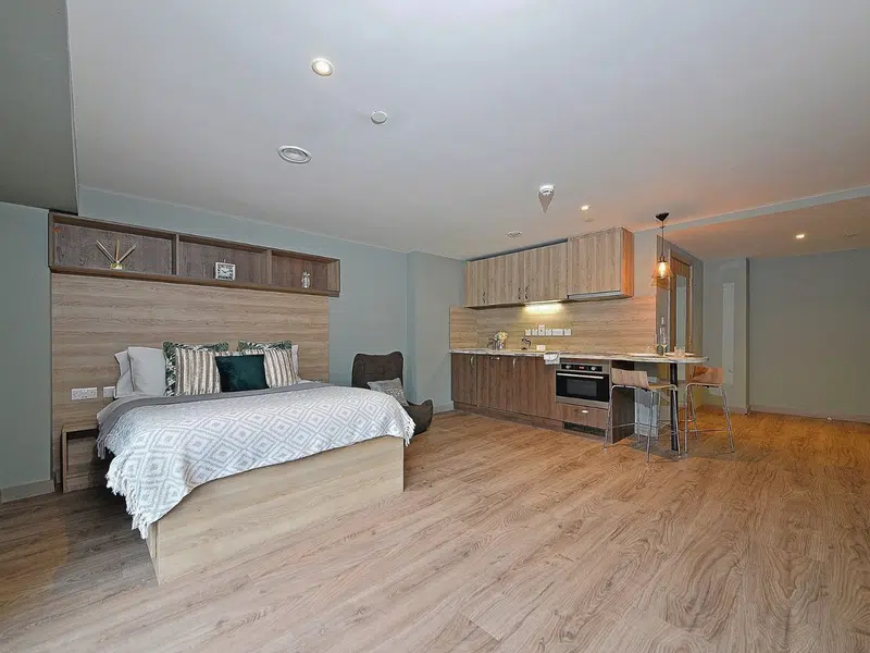 Luxury Plus Studio photo 1