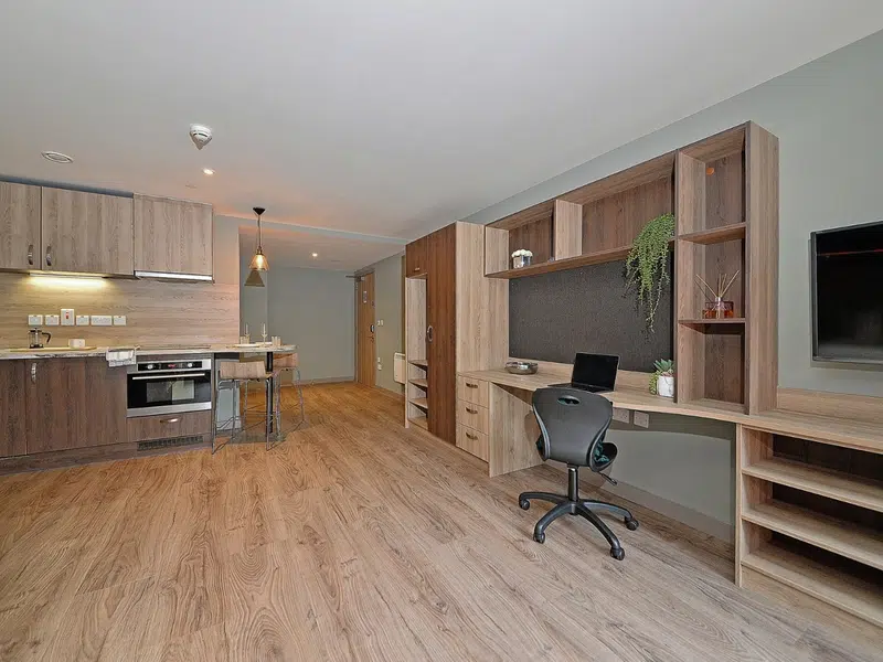 Luxury Plus Studio photo 3