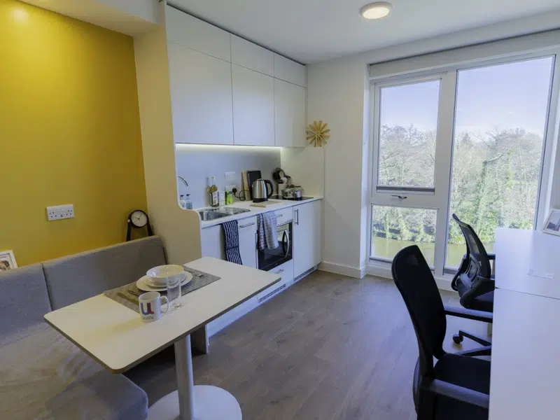 Luxury plus Studio photo 3