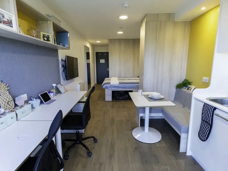 Luxury plus Studio photo 4