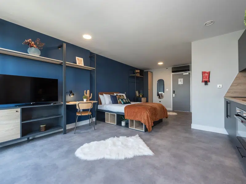 Luxury Studio photo 2