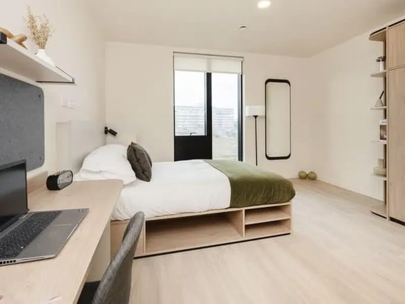 Luxury Studio Dual Occupancy photo 2