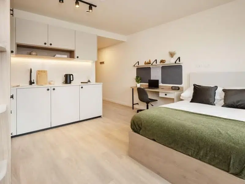 Luxury Studio Dual Occupancy photo 1