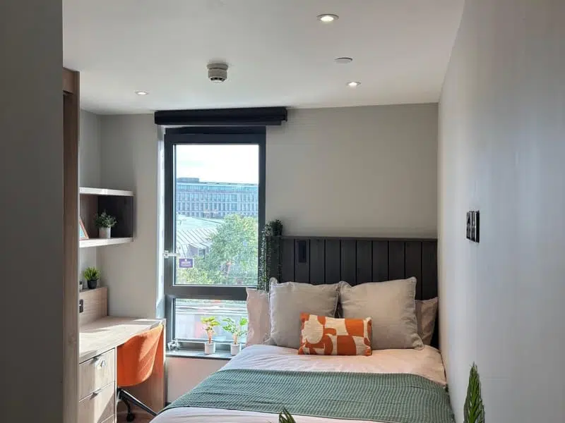 Modern Standard Ensuite photo 3