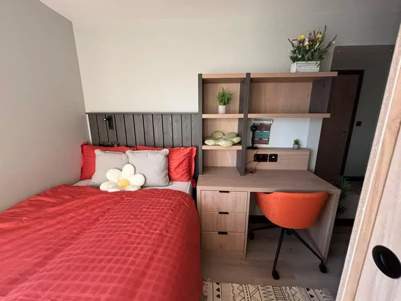 Modern Standard Ensuite photo 4