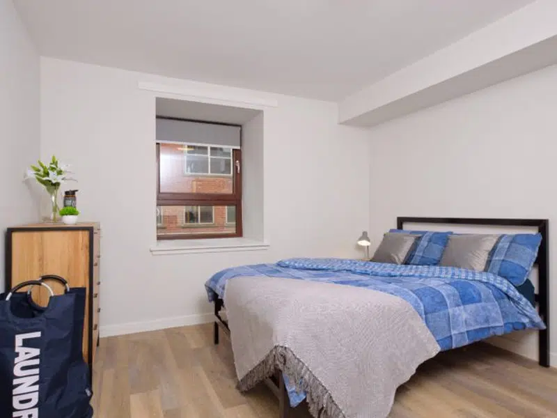Premium Double Bed Flat photo 1