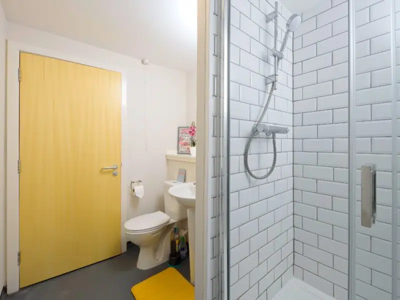 Premium Double Bed Flat photo 4