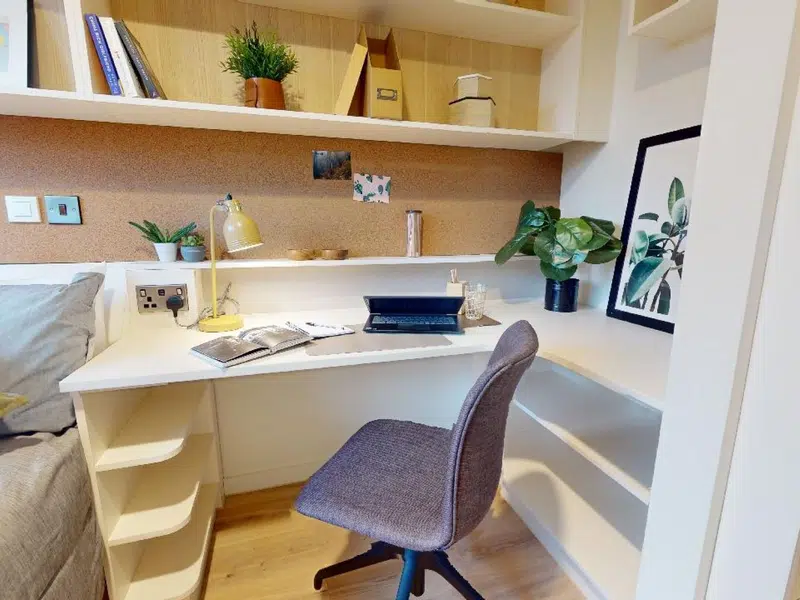 Bronze Studio Plus photo 3
