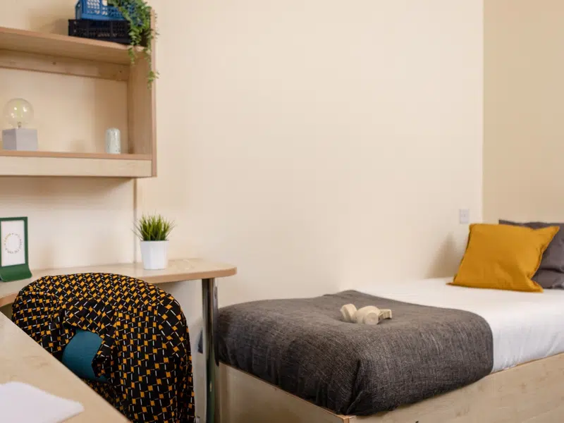 One Bed Apartment ( Shared ) photo 1