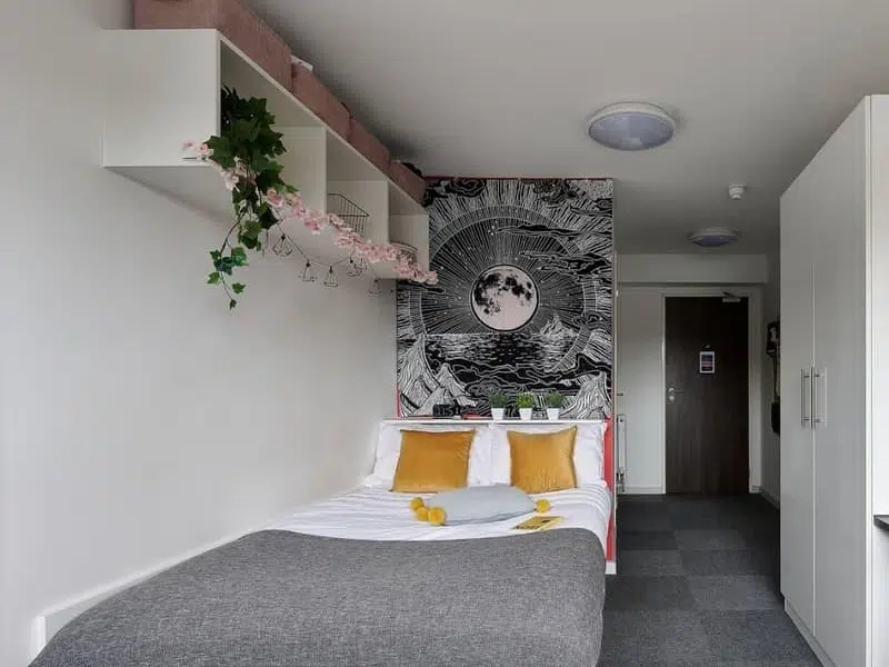 Premium Plus Ensuite photo 1