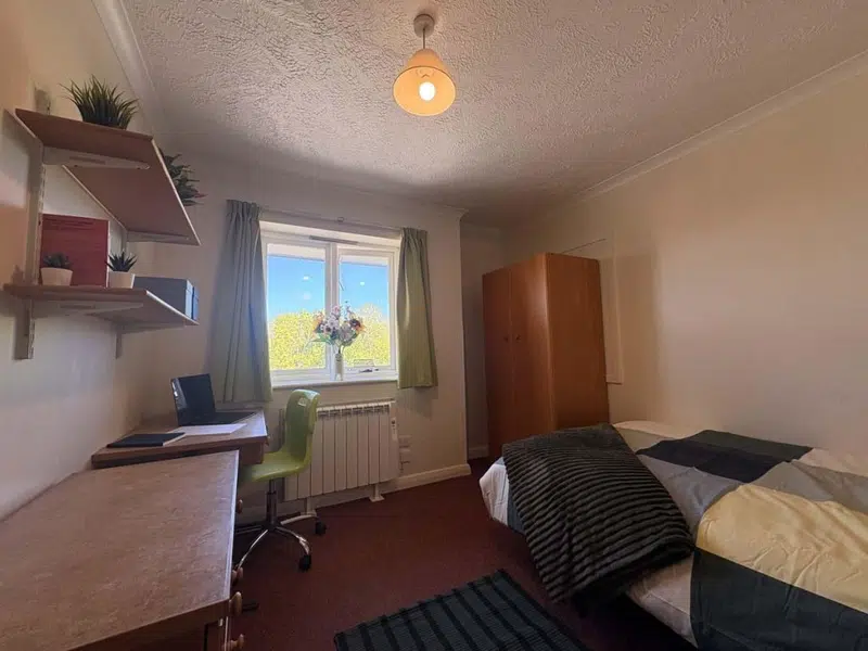 One Bedroom photo 1