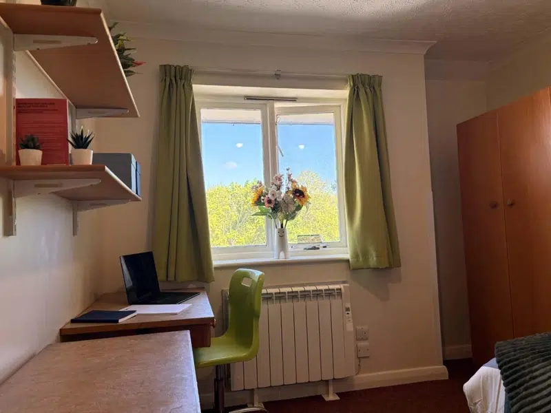 One Bedroom photo 2