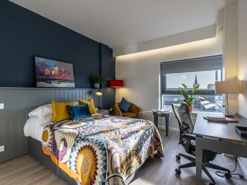One Bedroom Apartment photo 2