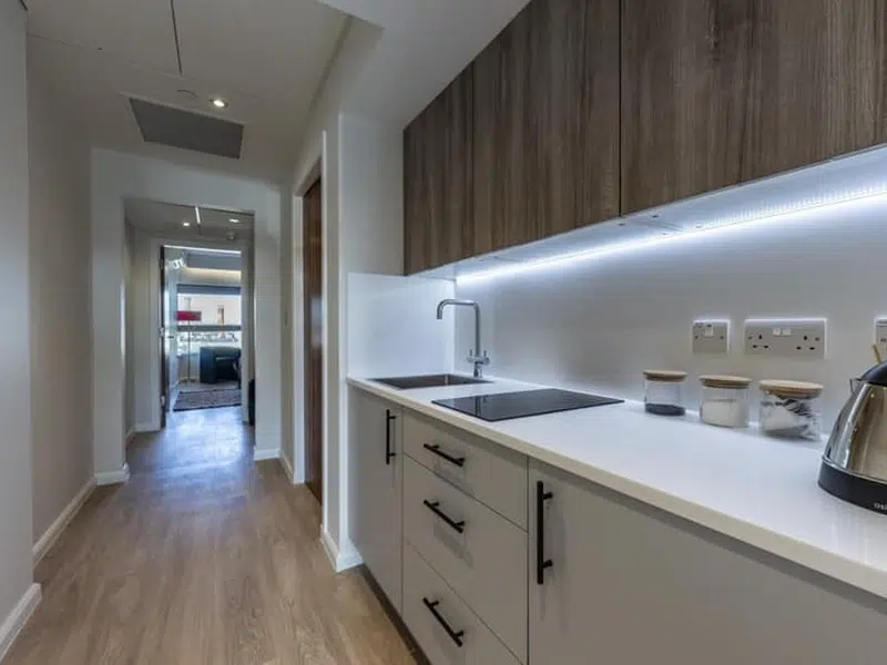 One Bedroom Apartment photo 4