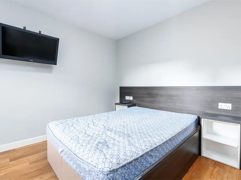 One Bedroom Apartment photo 1