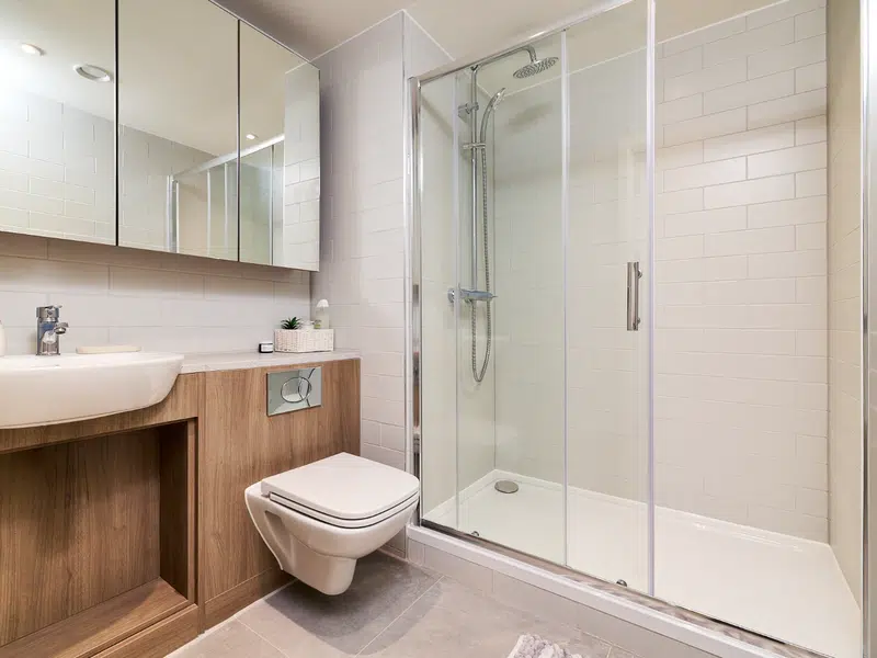 One Bedroom Flat photo 5