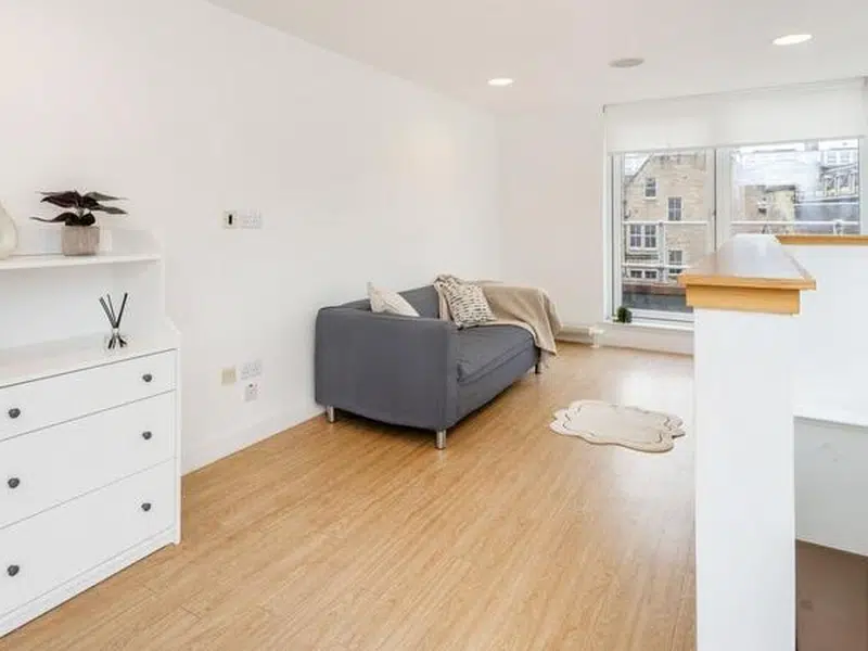 Penthouse photo 2