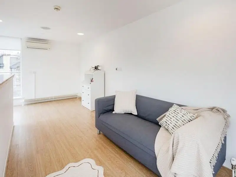 Penthouse photo 5