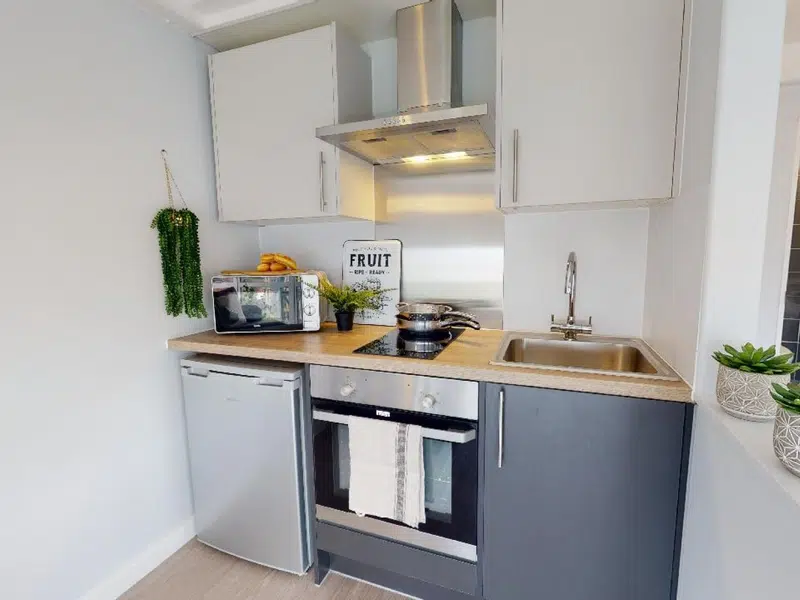 Penthouse Apartment photo 6