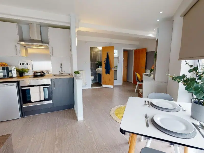 Penthouse Apartment photo 4