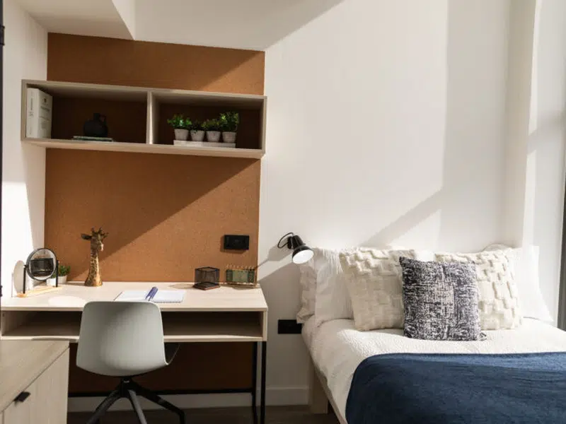 Penthouse Apartment photo 1