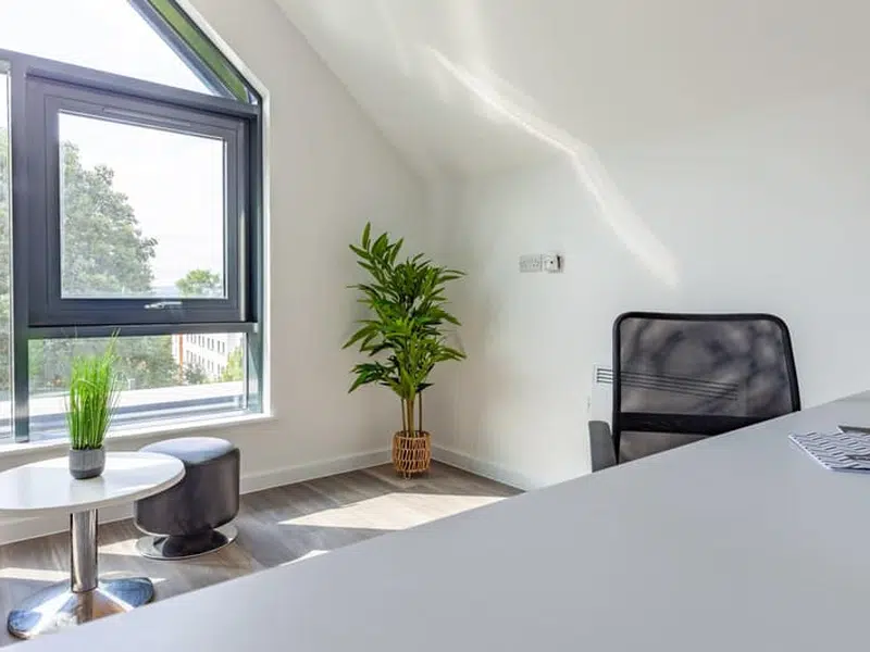 Penthouse Apartment photo 4