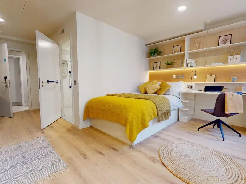 Gold Studio Plus photo 1