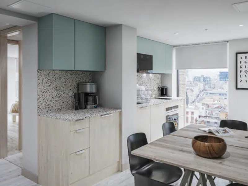 Penthouse Premium En-suite photo 6