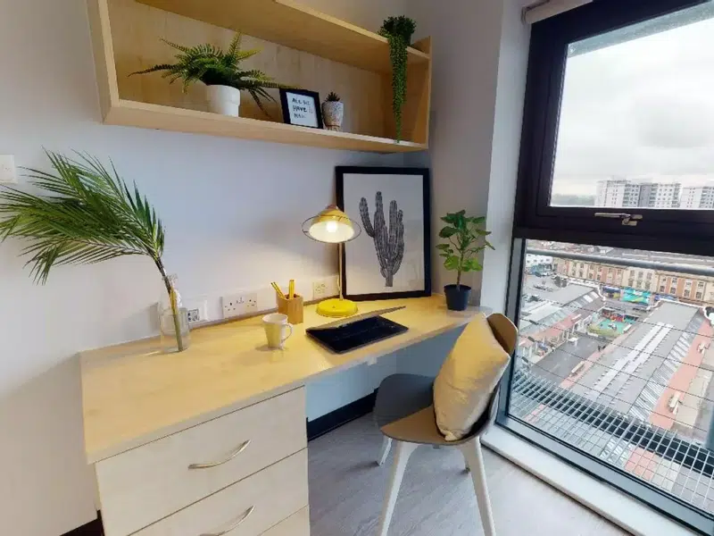 Penthouse Room photo 5