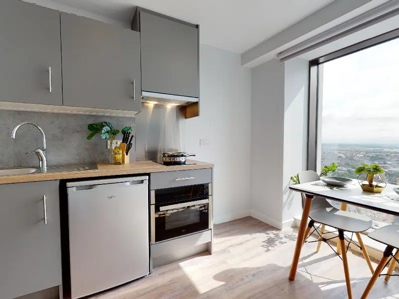 Penthouse Studio photo 4