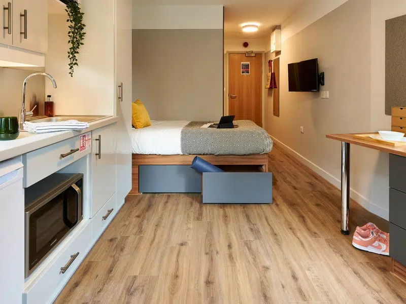 Penthouse Studio photo 4