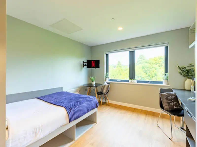 Penthouse Studio photo 1