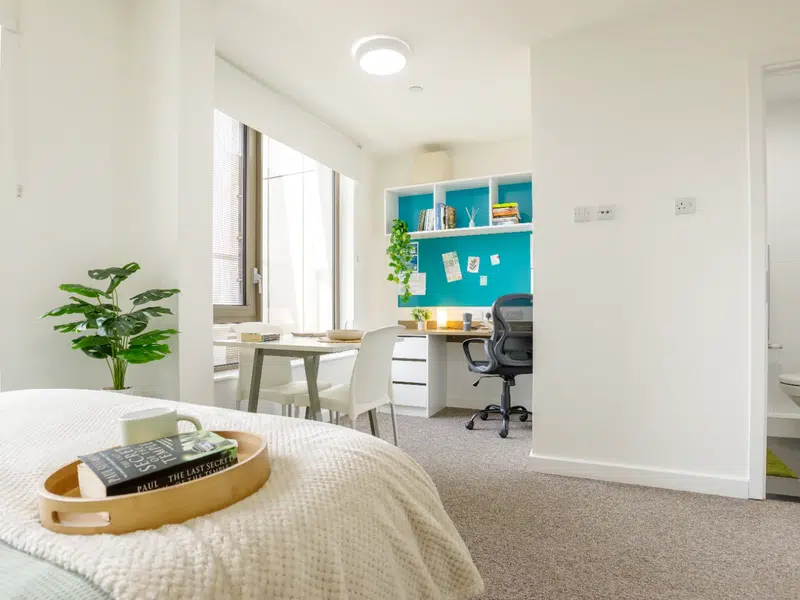 Penthouse photo 6