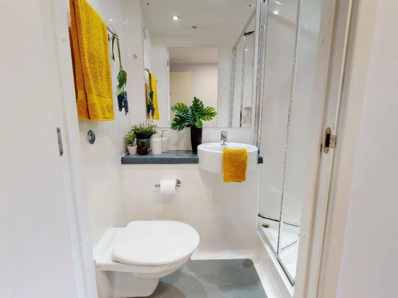Platinum En Suite photo 3