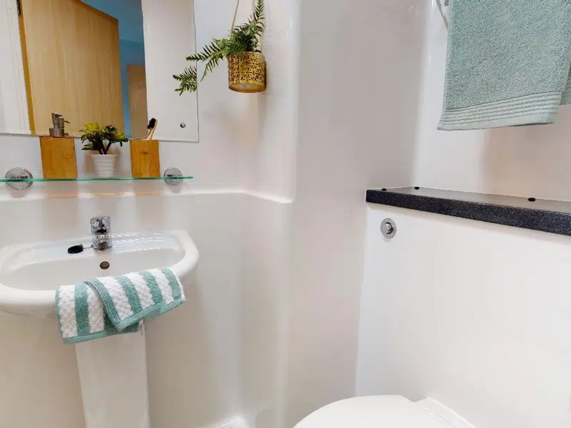 Platinum En Suite photo 4