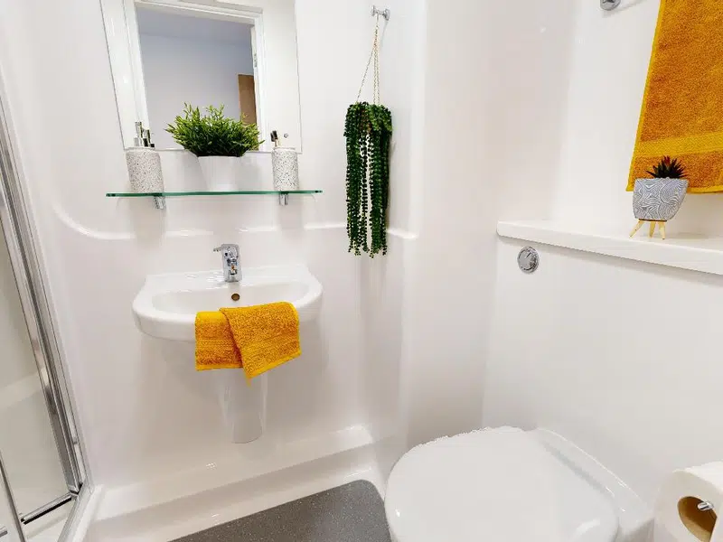 Platinum En Suite Plus photo 3