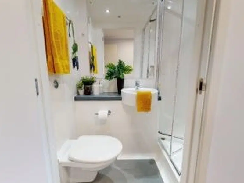 Platinum En Suite Plus photo 3