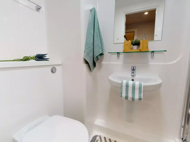 Platinum En Suite Plus photo 5