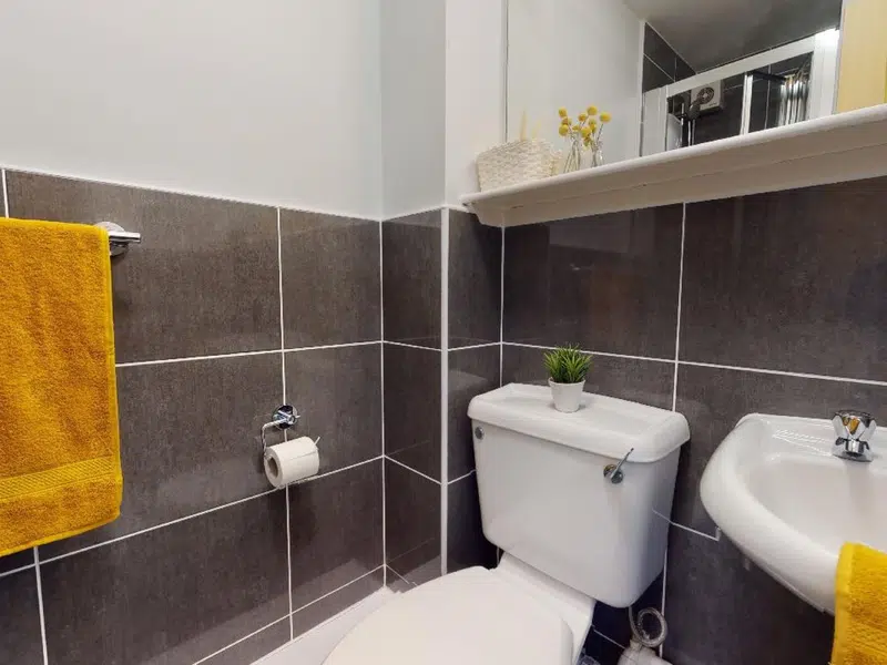 Platinum En Suite Plus photo 5