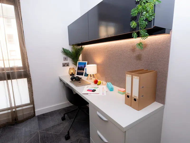 Platinum En-Suite photo 5
