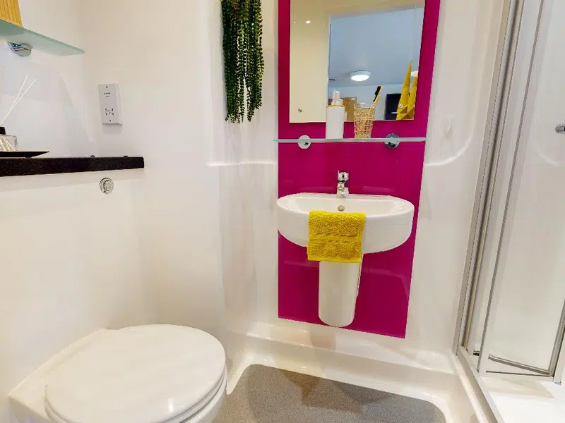 Platinum En-Suite photo 5