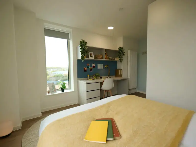 Platinum Ensuite photo 2