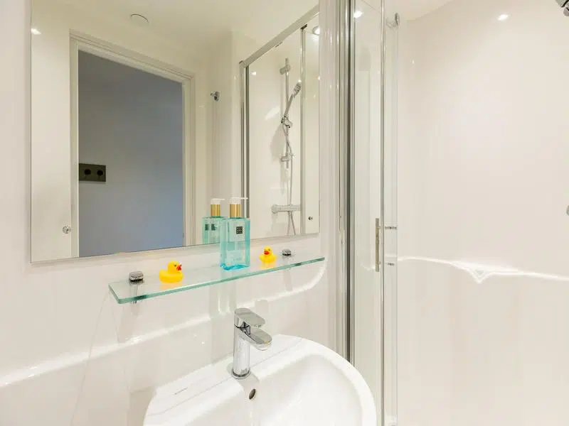 Platinum Ensuite photo 6