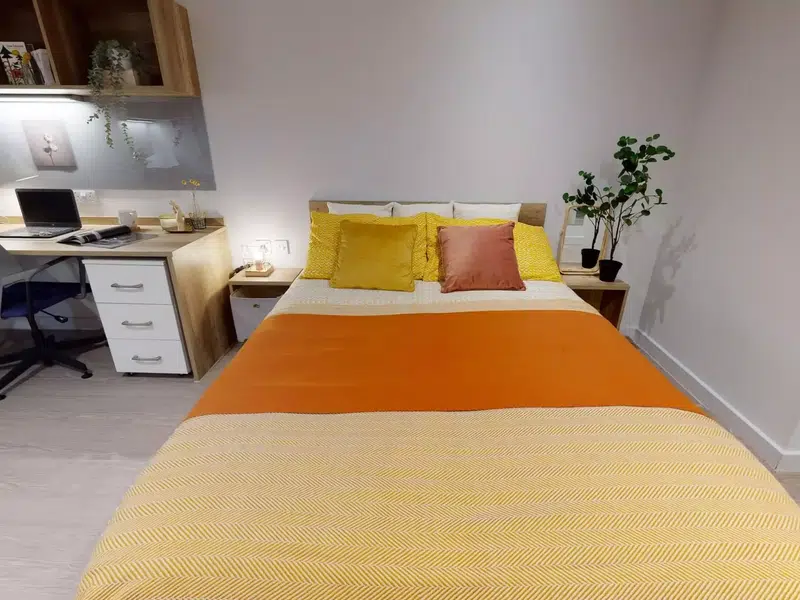 One Bed Apartment photo 2