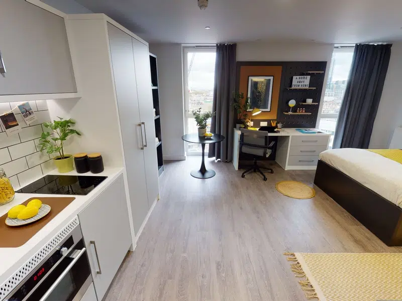 Platinum Penthouse photo 2
