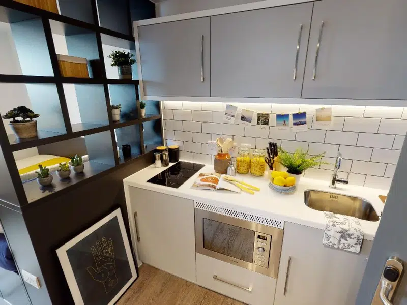 Platinum Penthouse Plus photo 3