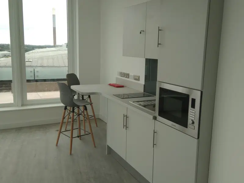 Platinum Plus Balcony Studio photo 3