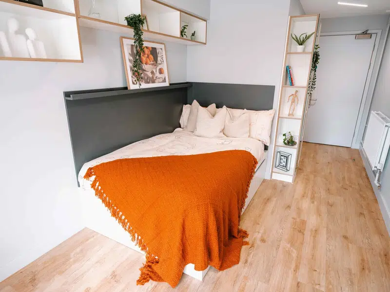 Platinum Plus En Suite photo 3