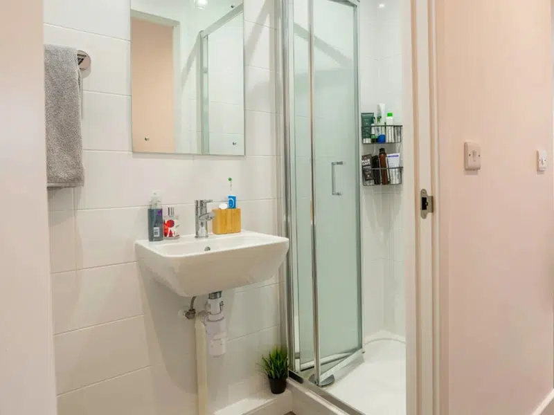 Platinum Plus En Suite photo 6